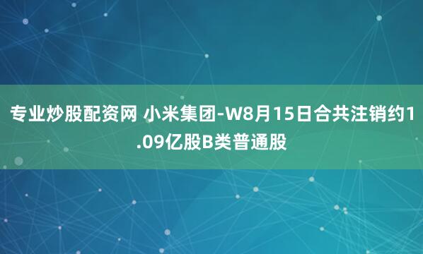 专业炒股配资网 小米集团-W8月15日合共注销约1.09亿股B类普通股
