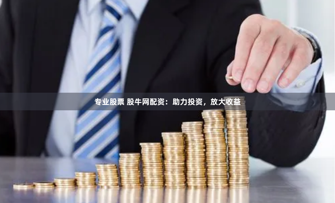 专业股票 股牛网配资：助力投资，放大收益