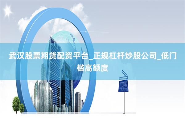 武汉股票期货配资平台_正规杠杆炒股公司_低门槛高额度